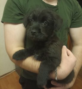 Дарк шукає люблячу сім'ю