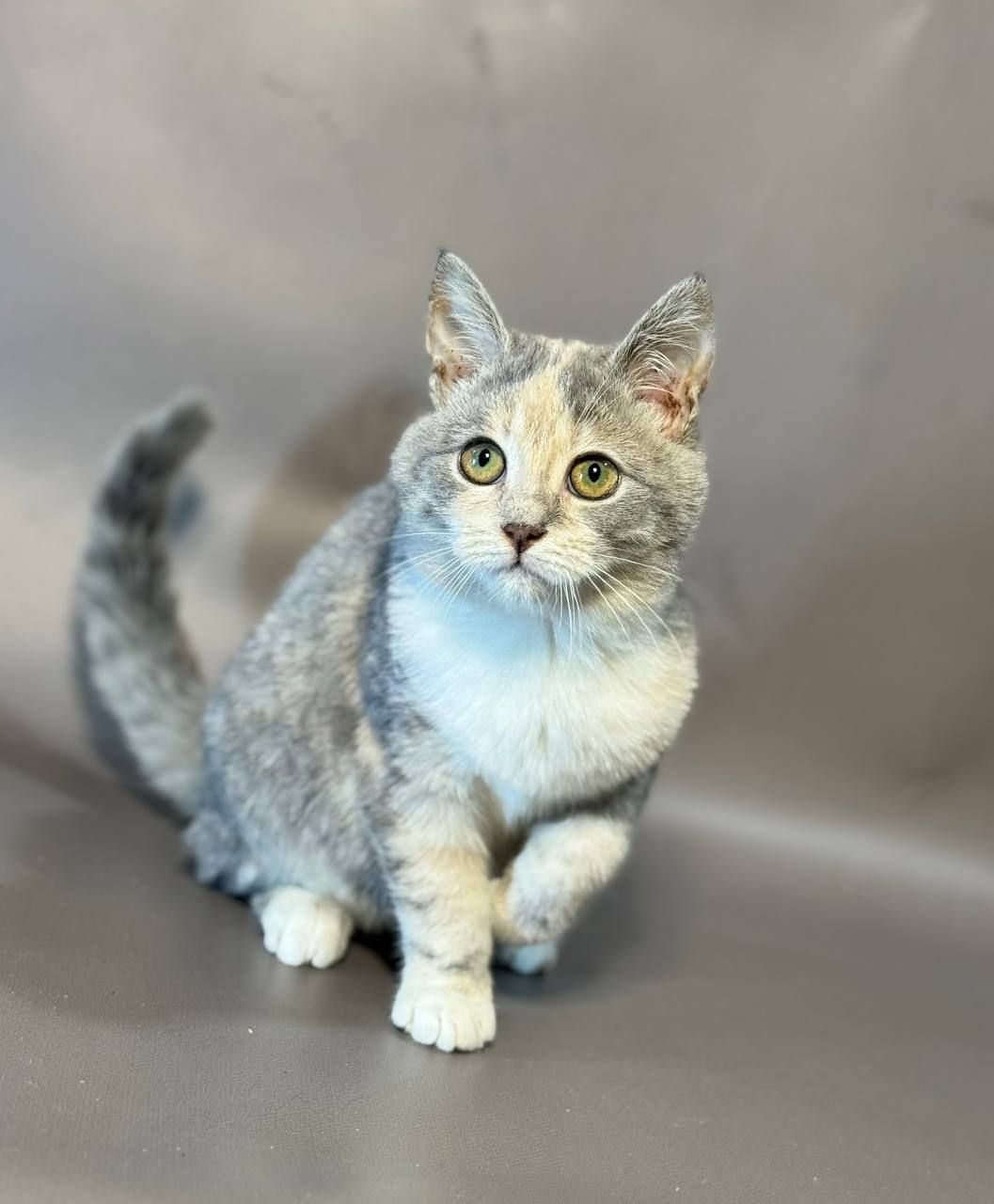 Фанта, 5 місяців