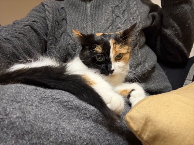 Врятована Арлетт чекає на свою людину