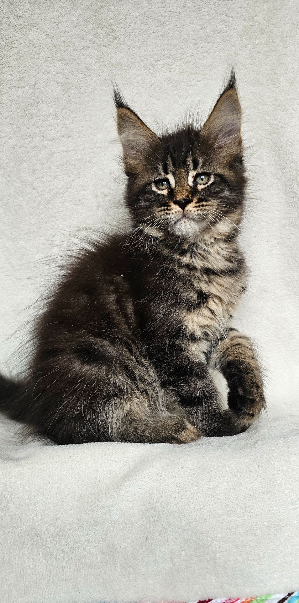 Мальчик мейн кун