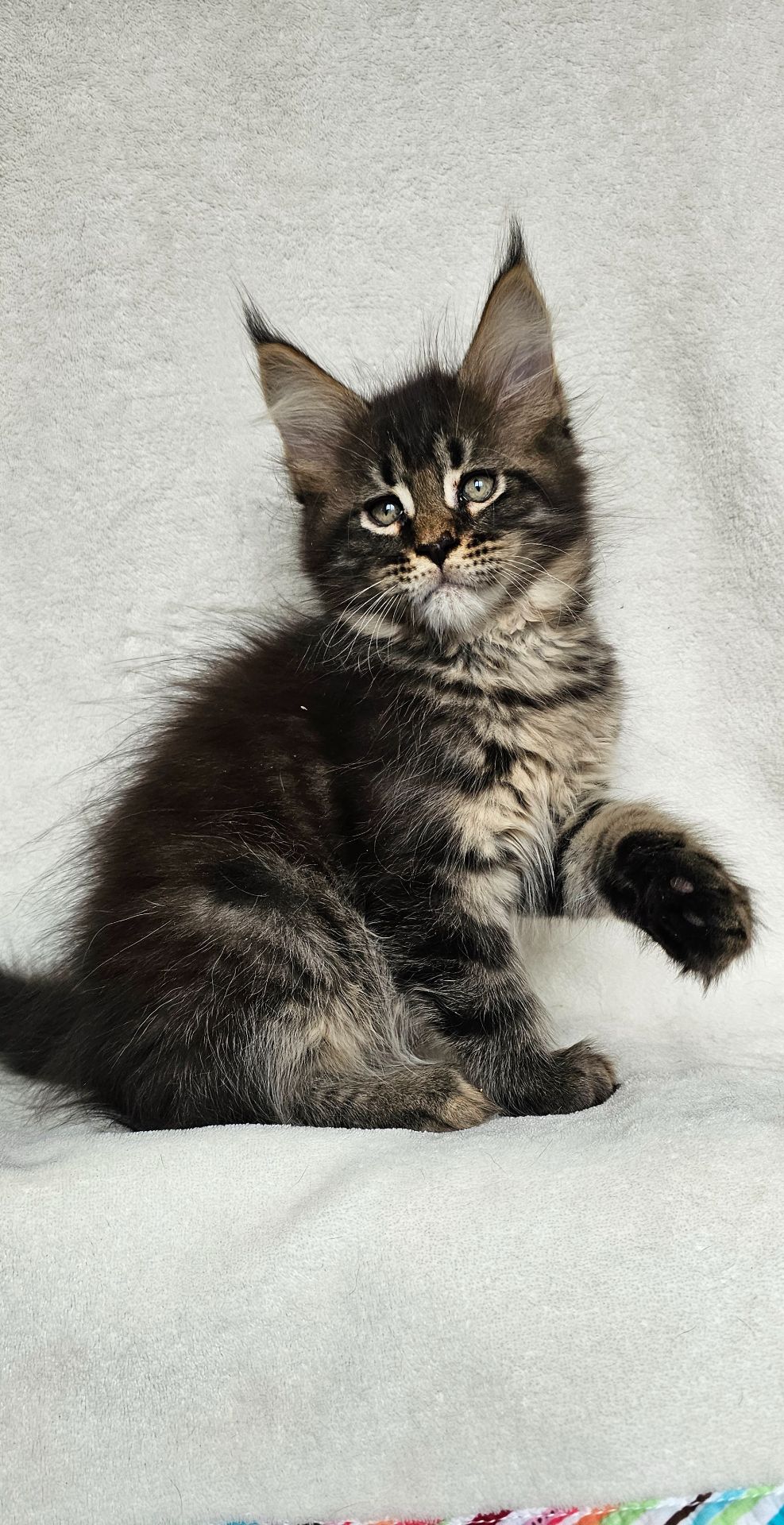 Мальчик мейн кун