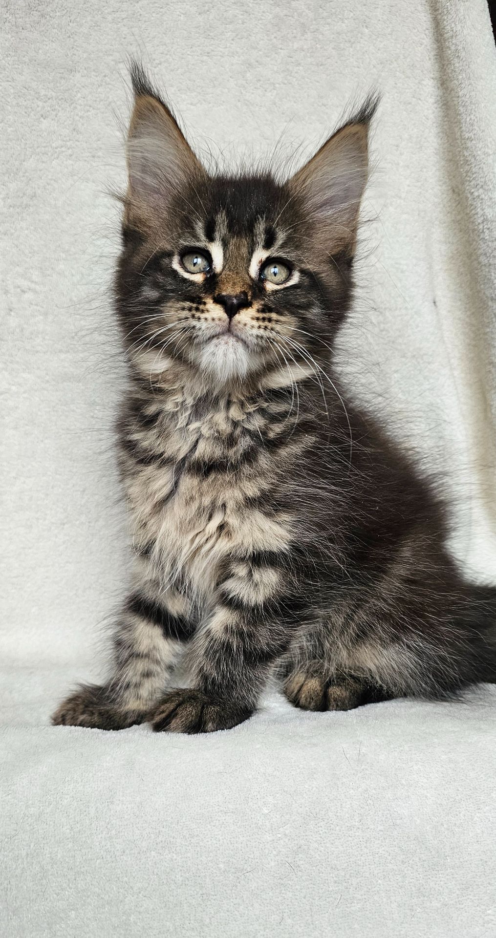 Мальчик мейн кун