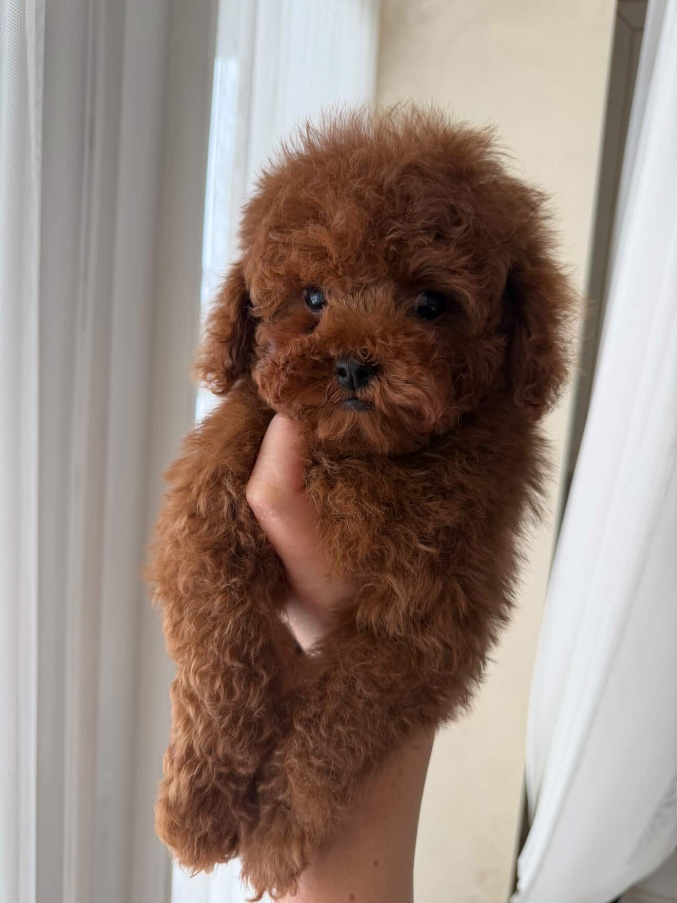 Гарненький хлопчик шукає родину