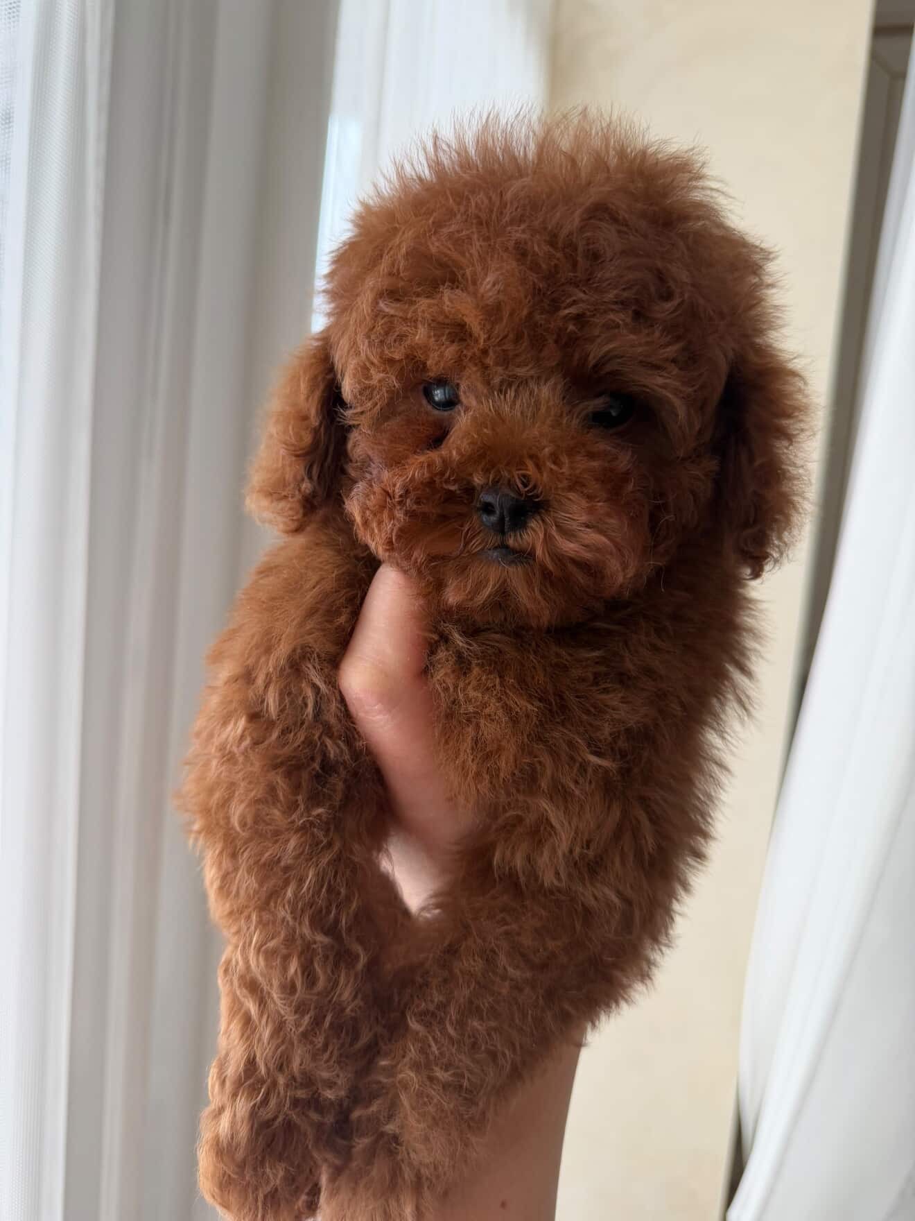 Гарненький хлопчик шукає родину