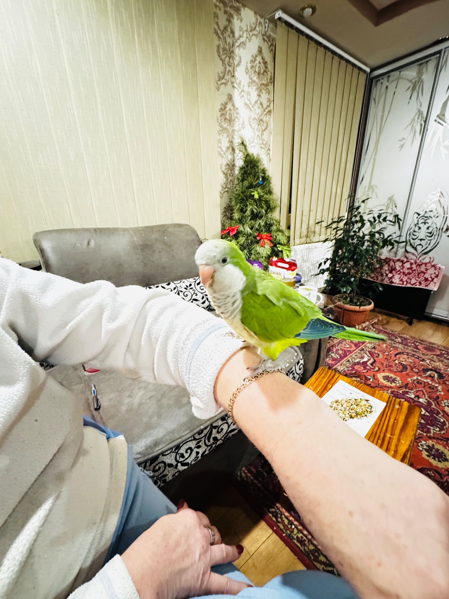 Калита -Монах