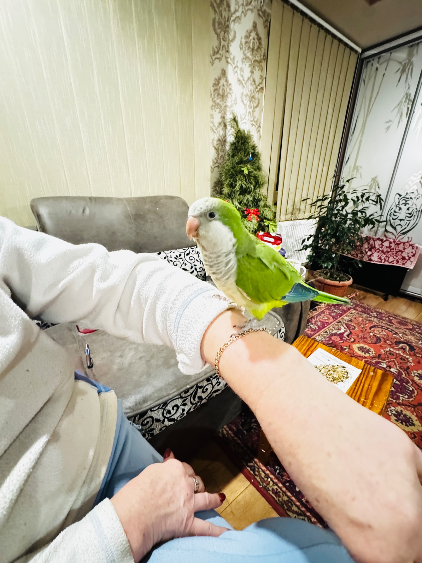 Калита -Монах