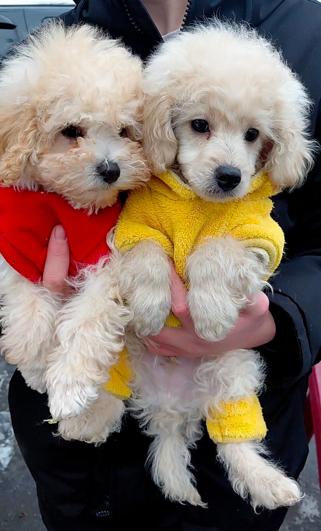 Шикарные братики