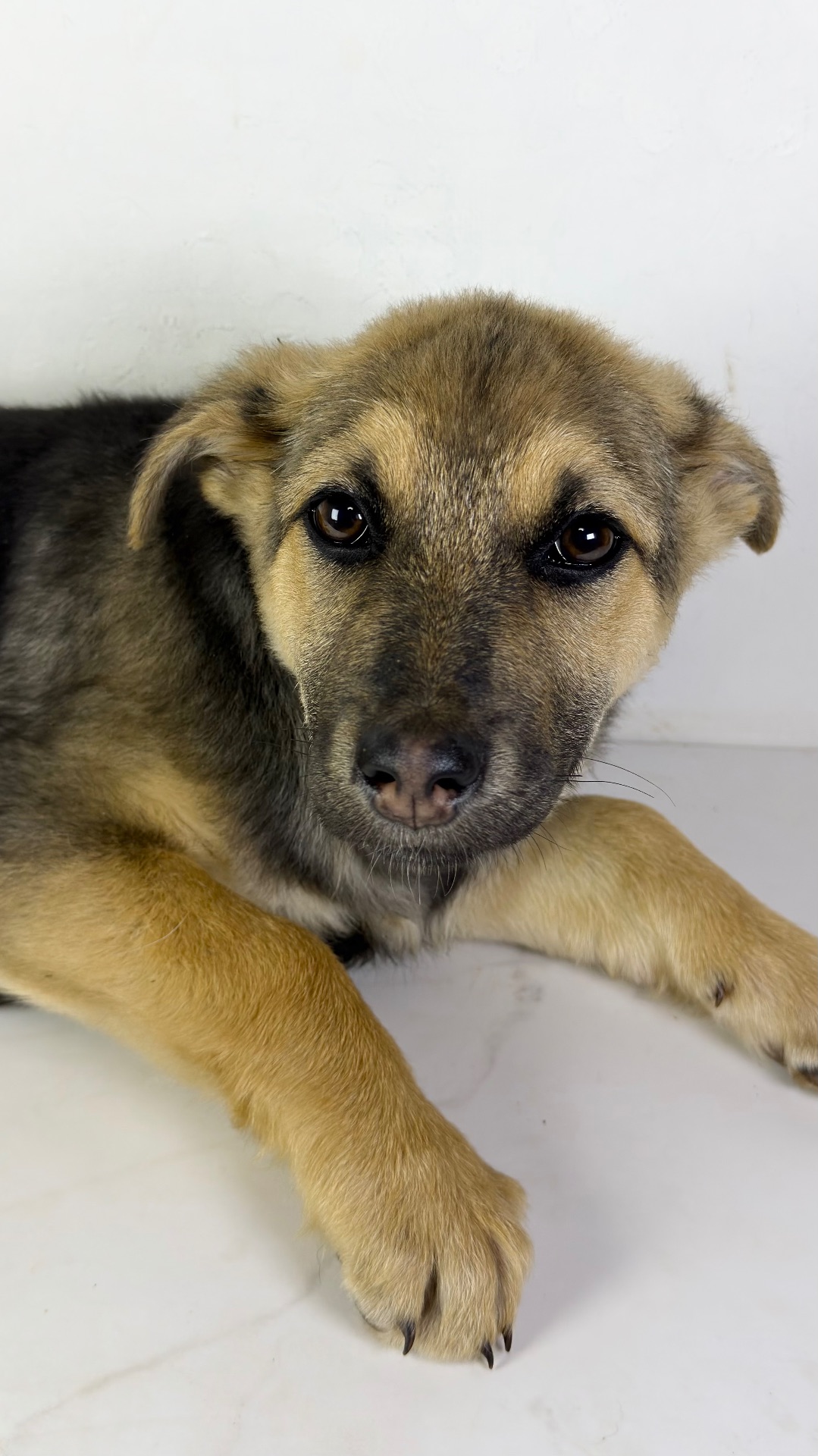 Дівчина шукає родину, буде не велика