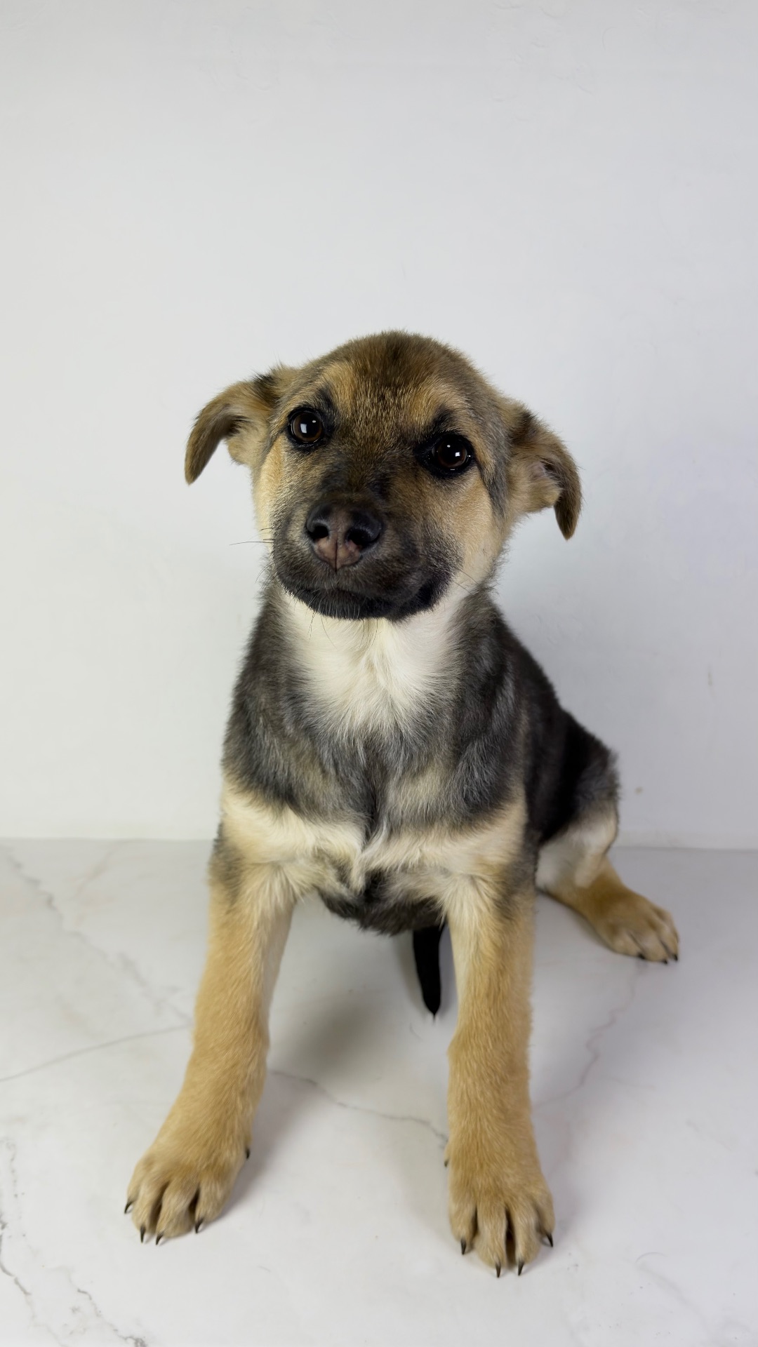 Дівчина шукає родину, буде не велика