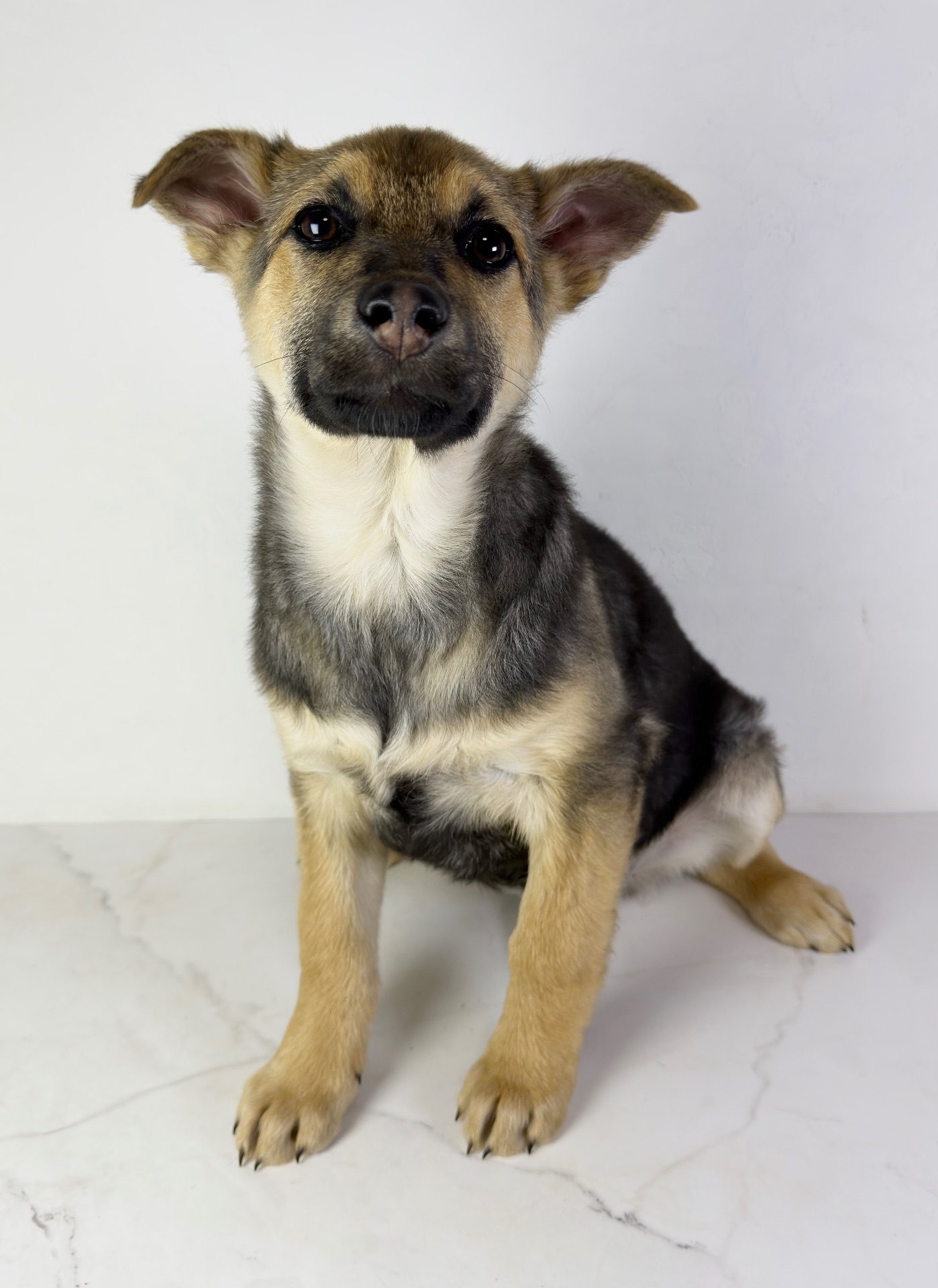 Дівчина шукає родину, буде не велика