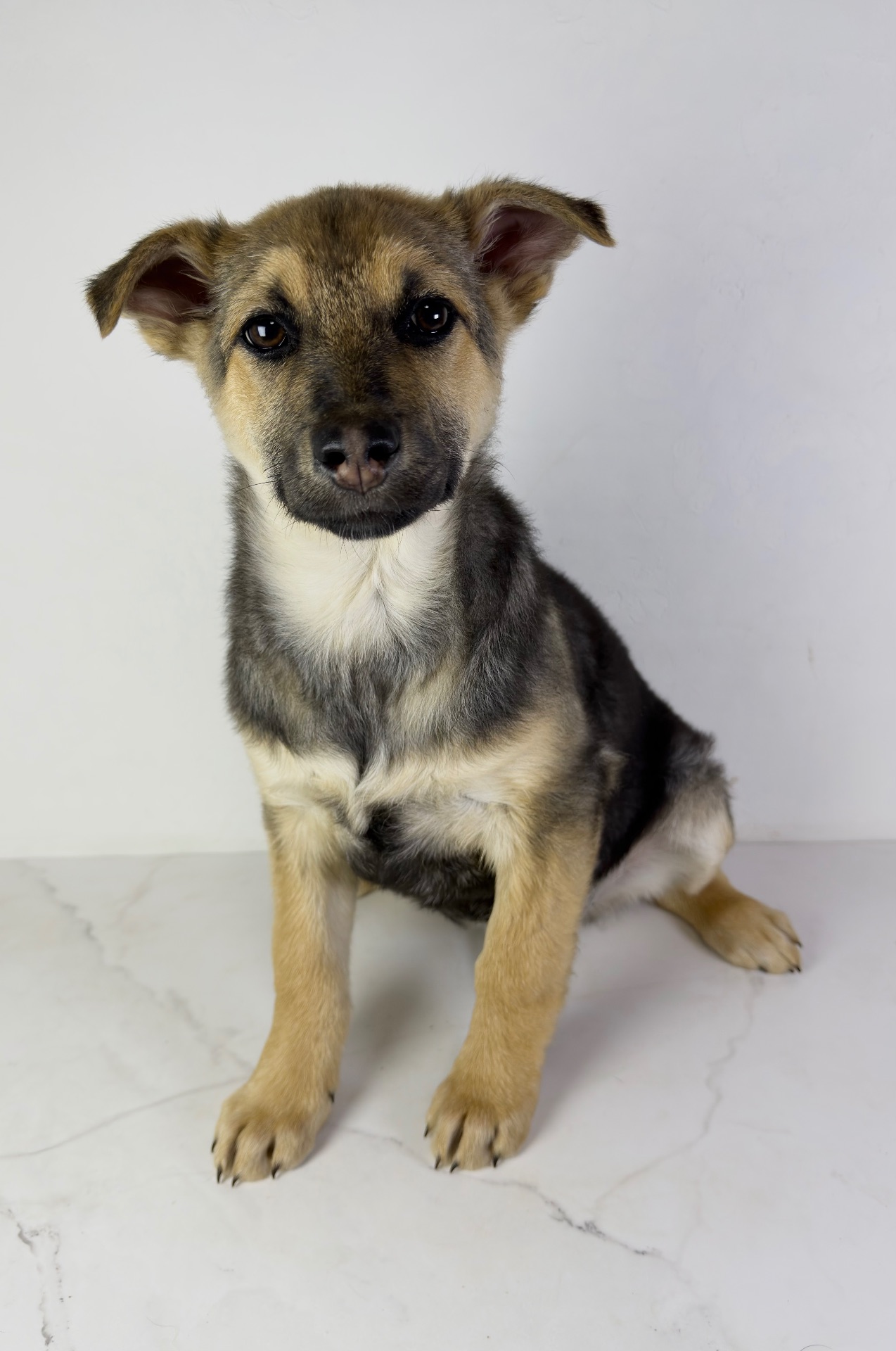 Дівчина шукає родину, буде не велика