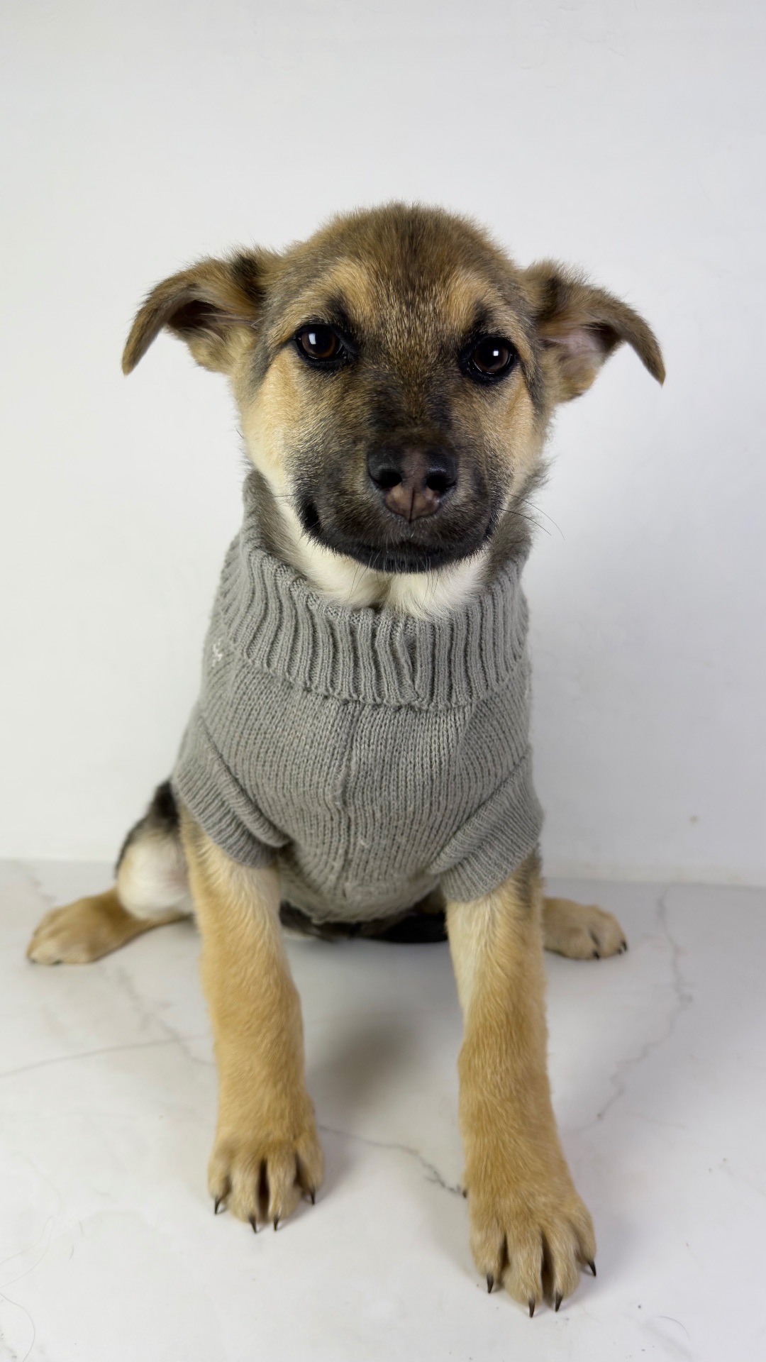 Дівчина шукає родину, буде не велика