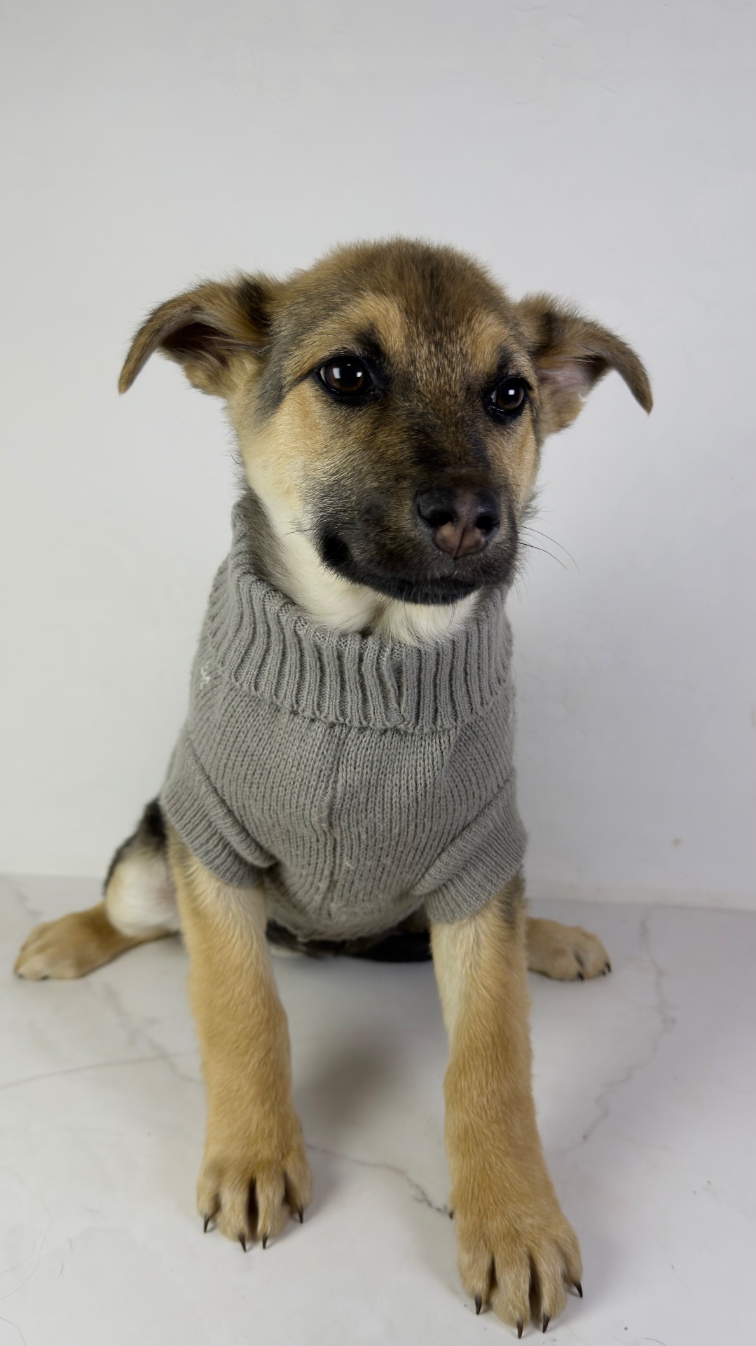 Дівчина шукає родину, буде не велика