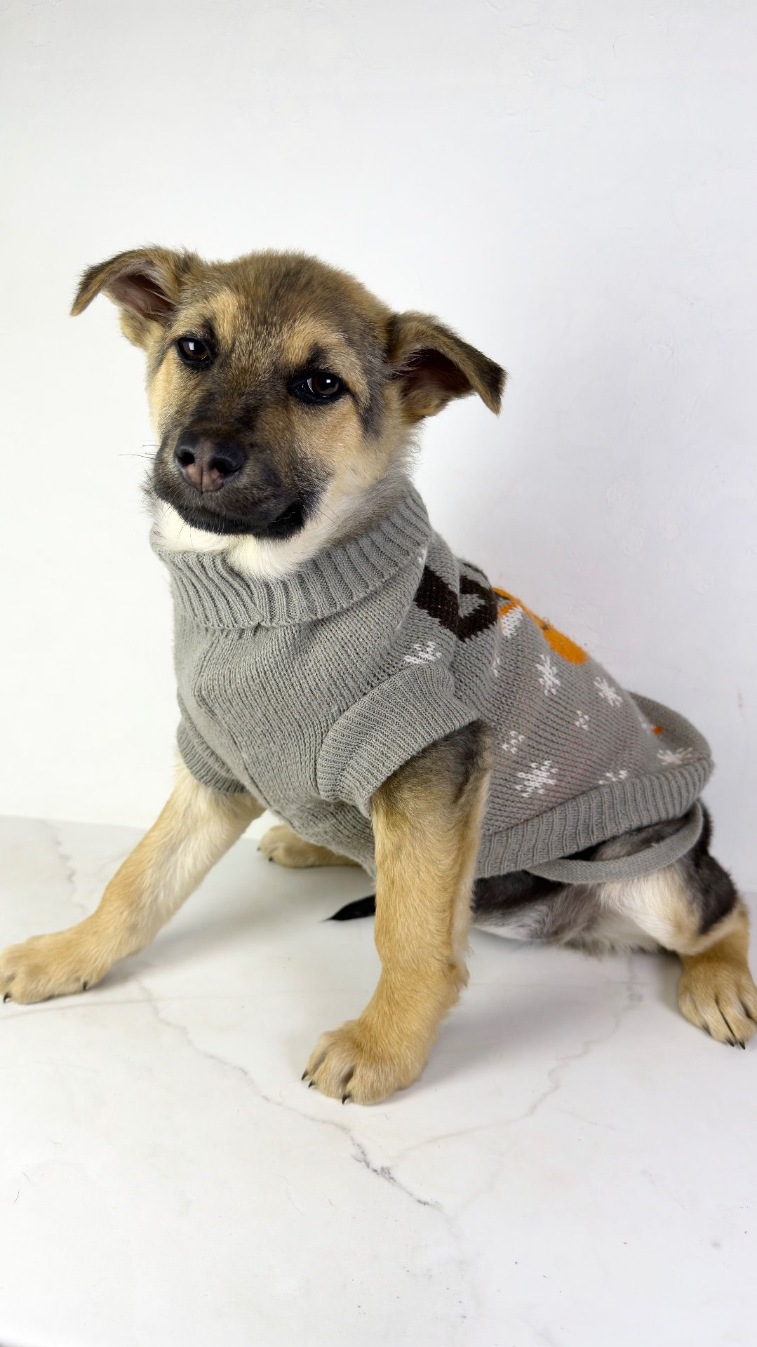 Дівчина шукає родину, буде не велика