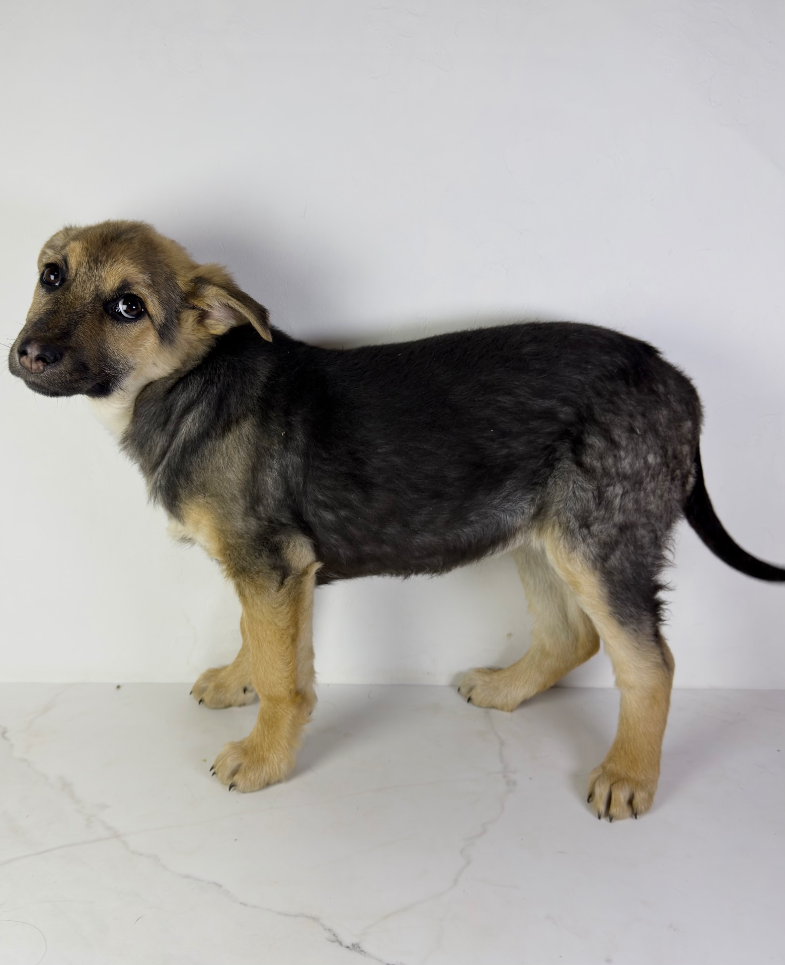 Дівчина шукає родину, буде не велика