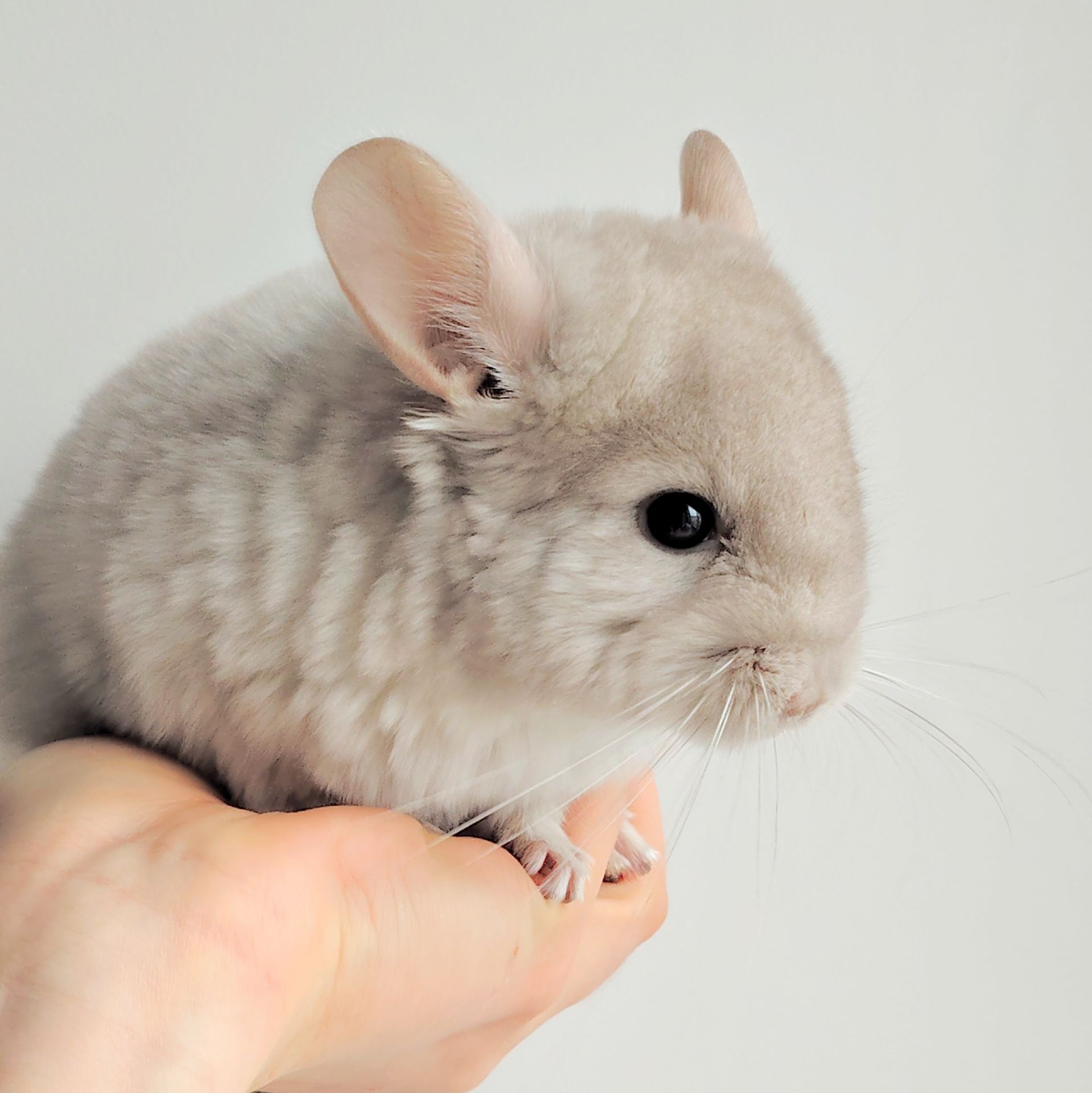 Милий хлопчик 💛