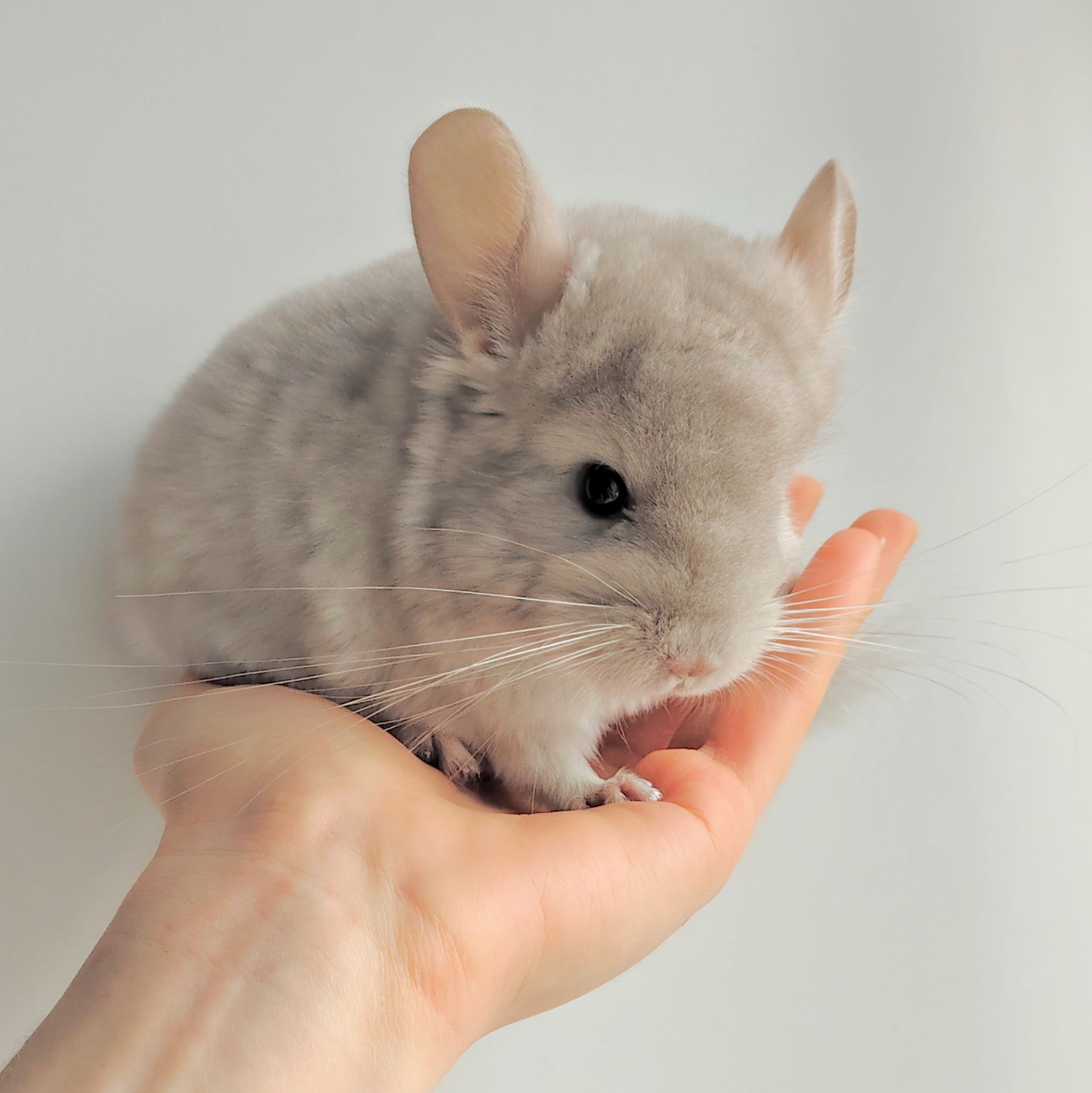 Милий хлопчик 💛