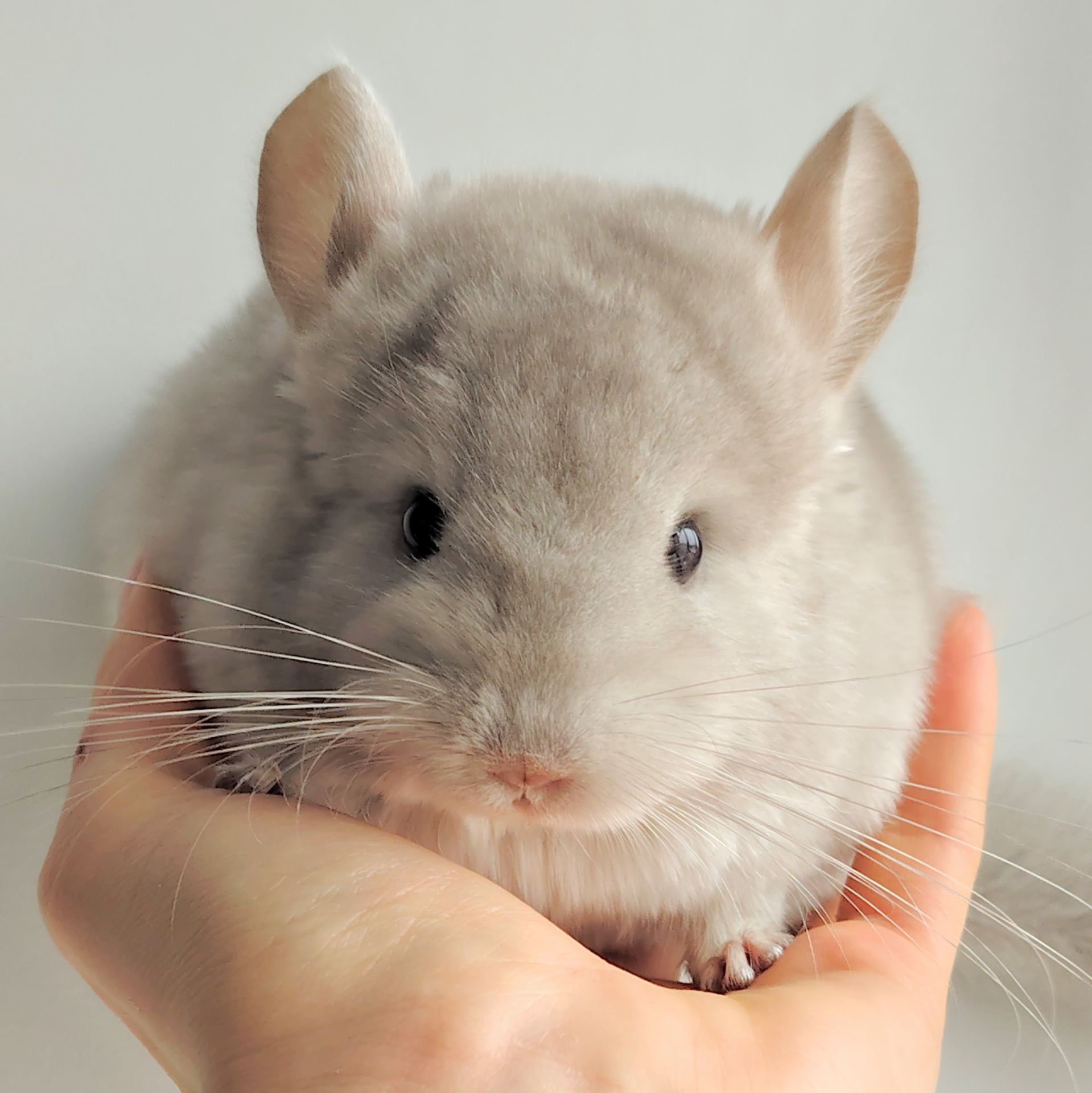 Милий хлопчик 💛