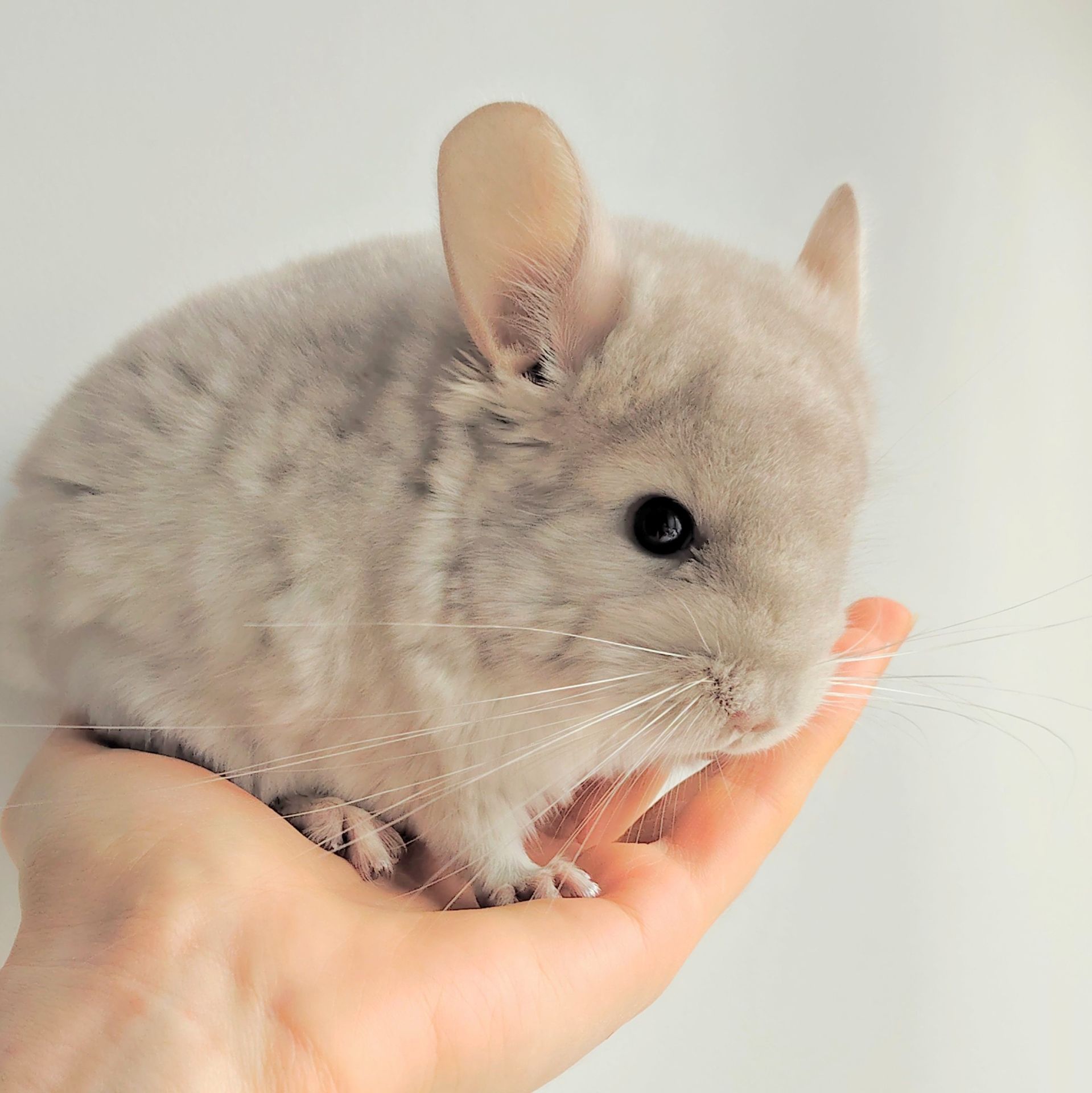 Милий хлопчик 💛