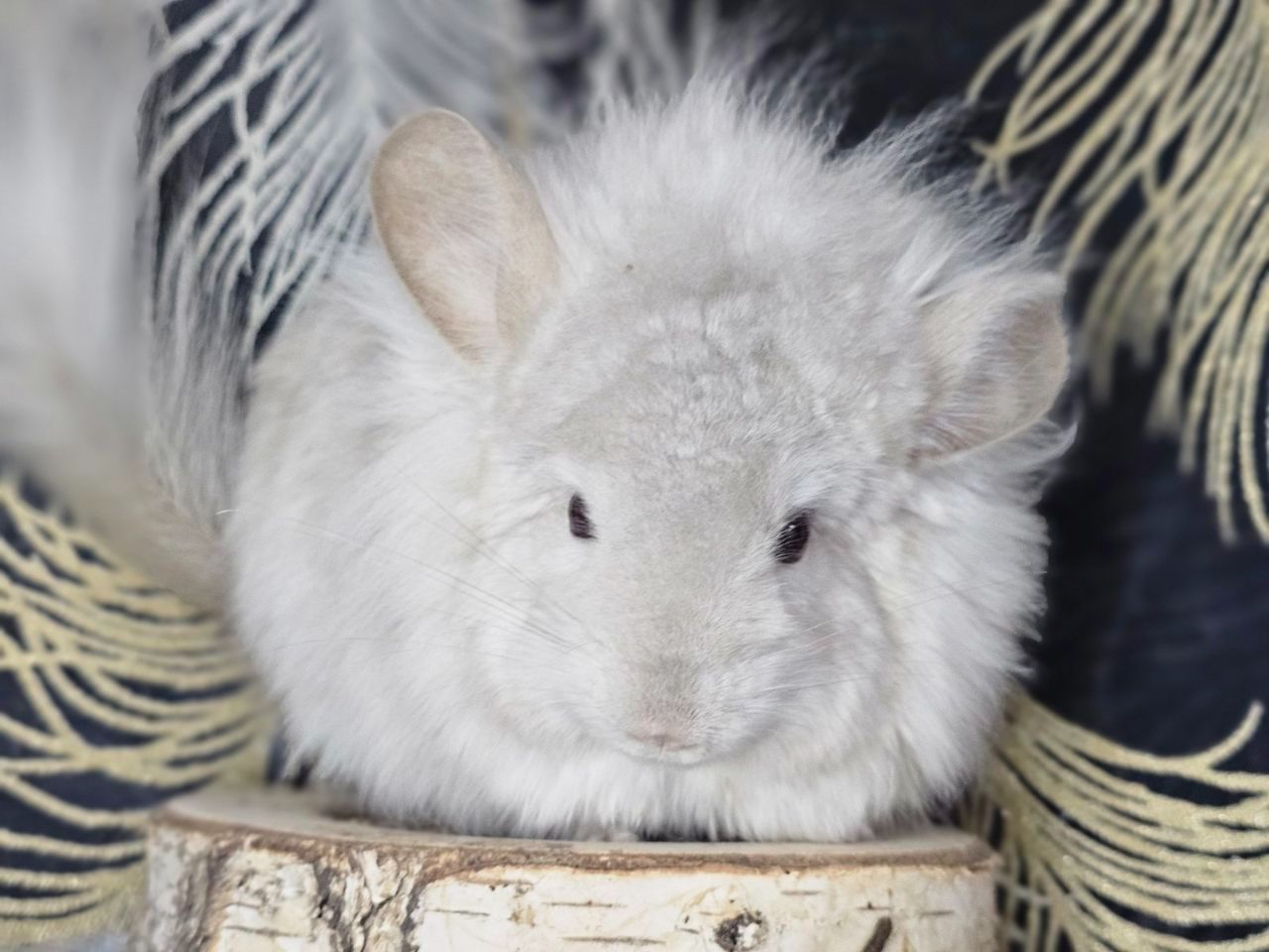 Милий хлопчик 💛