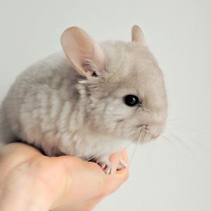 Милий хлопчик 💛