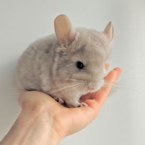 Милий хлопчик 💛