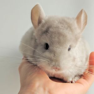 Милий хлопчик 💛