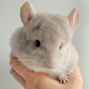 Милий хлопчик 💛