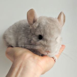 Милий хлопчик 💛