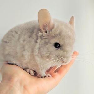 Милий хлопчик 💛