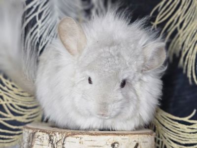 Милий хлопчик 💛