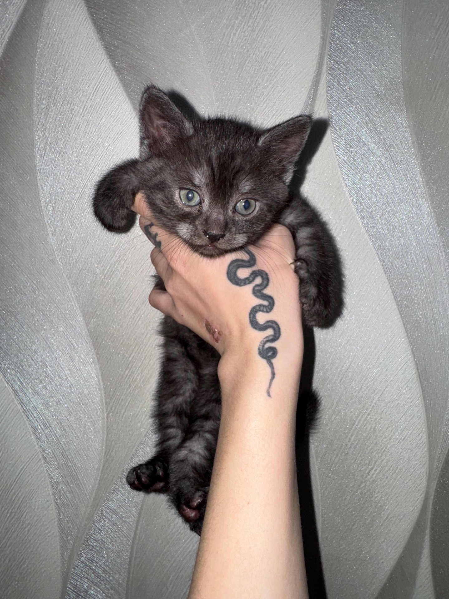 Британская