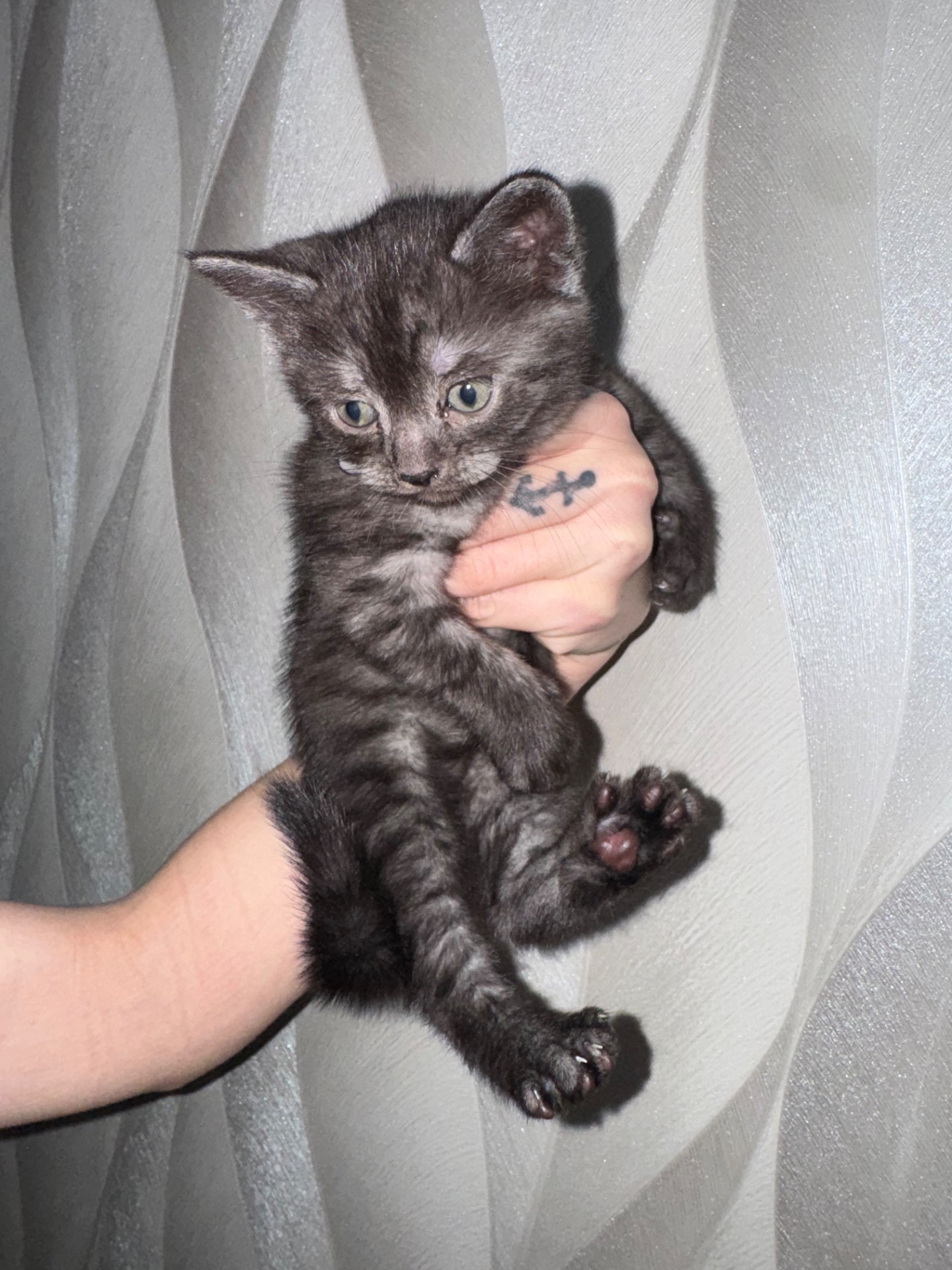 Британская