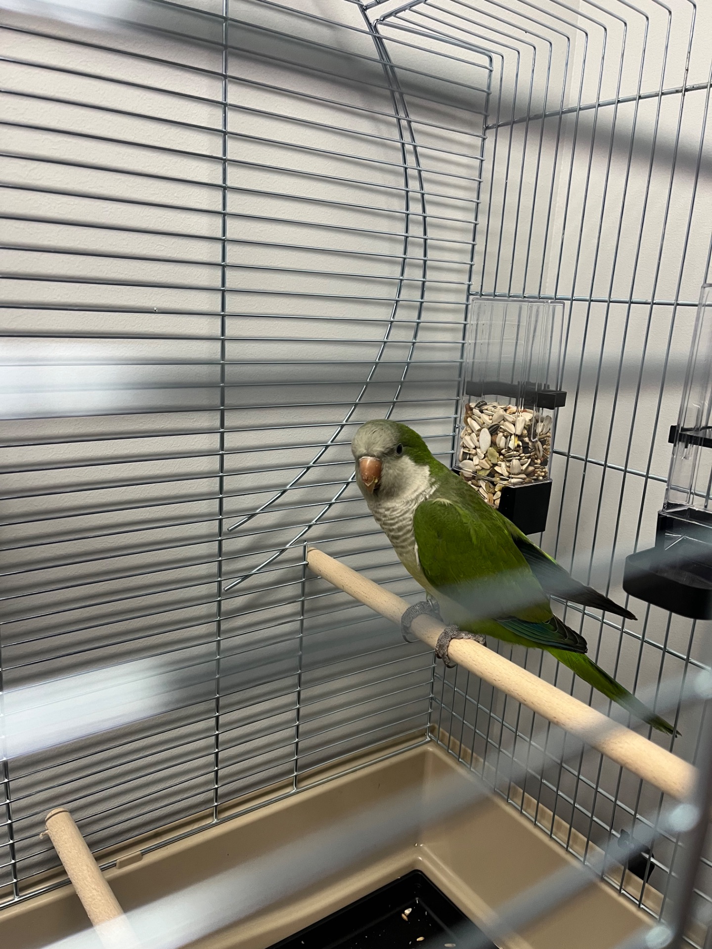 Калита монах квакер