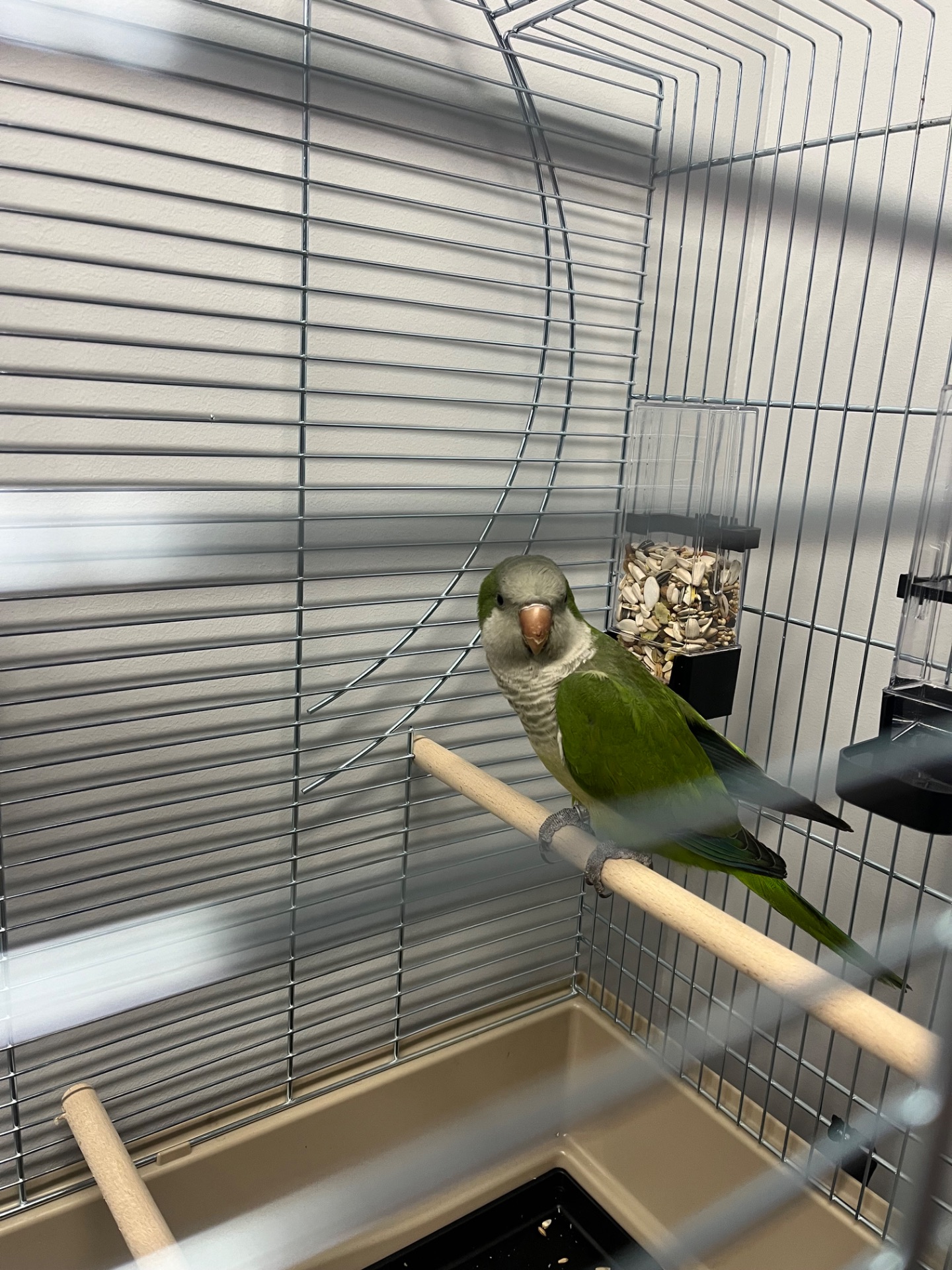 Калита монах квакер