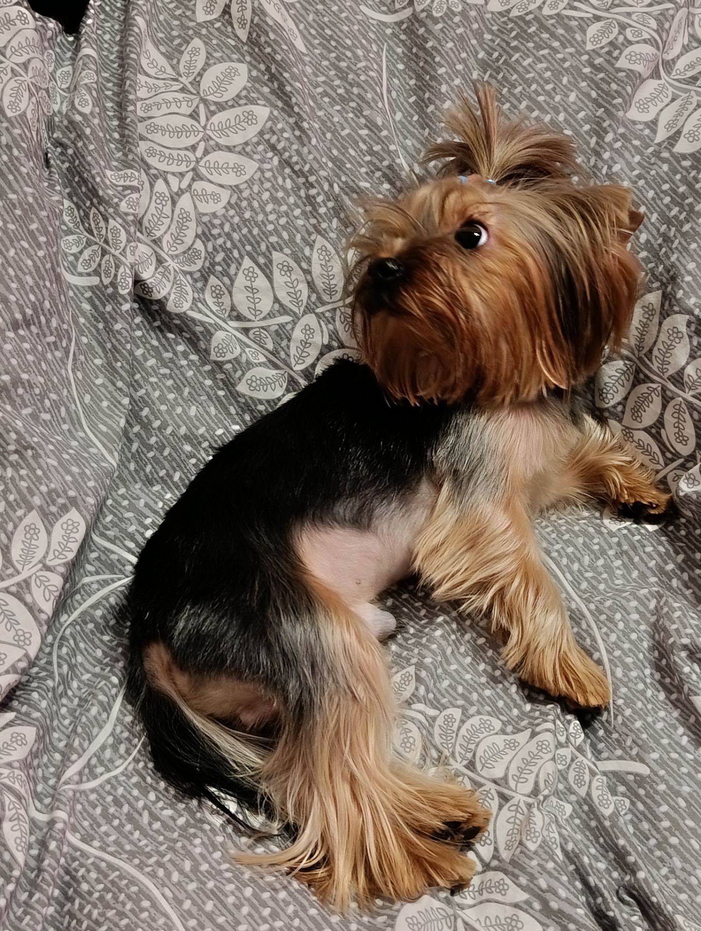 Хлопчик шукає дівчинку