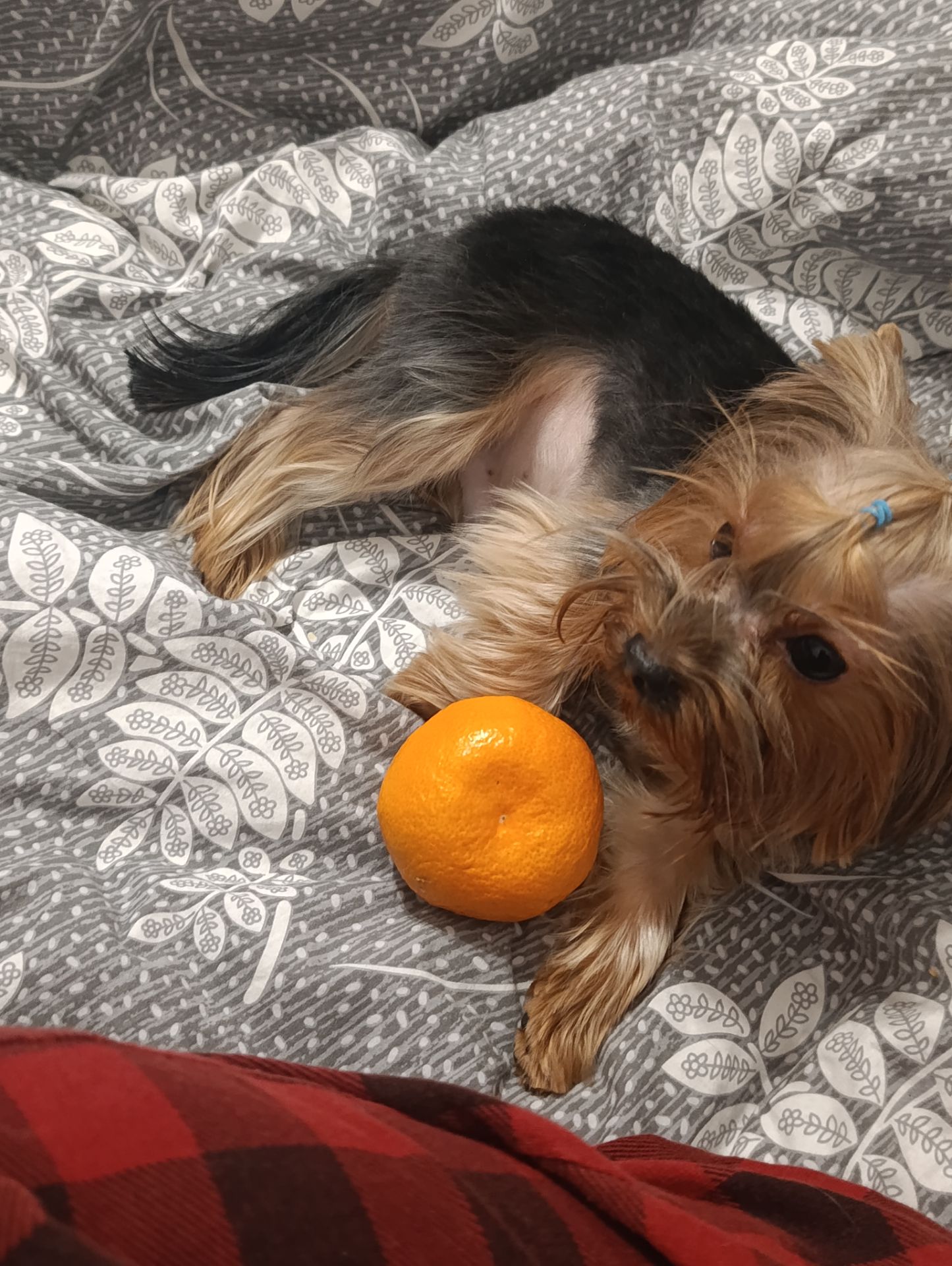 Хлопчик шукає дівчинку