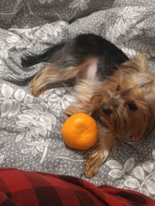 Хлопчик шукає дівчинку