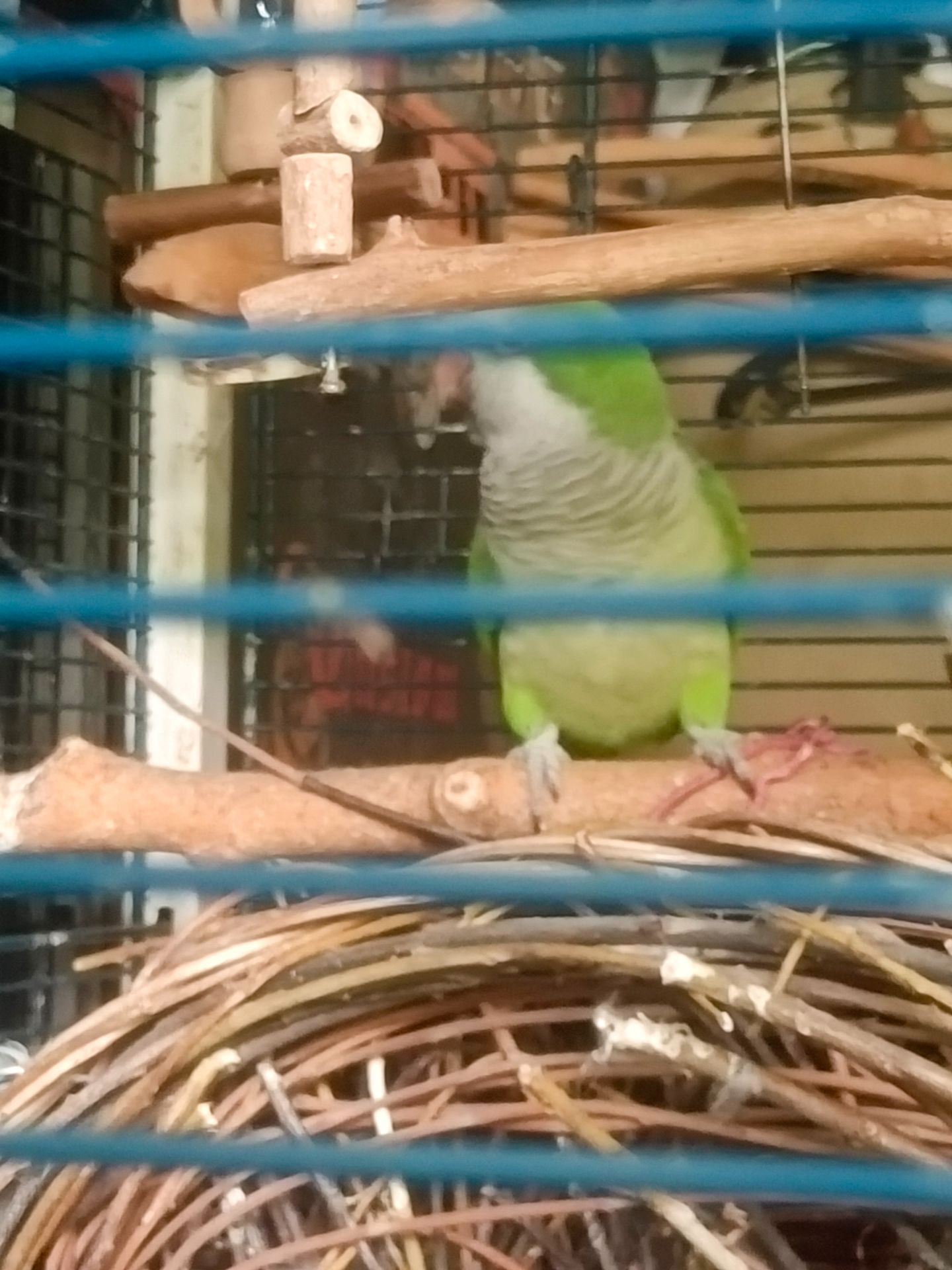 Калита- монах