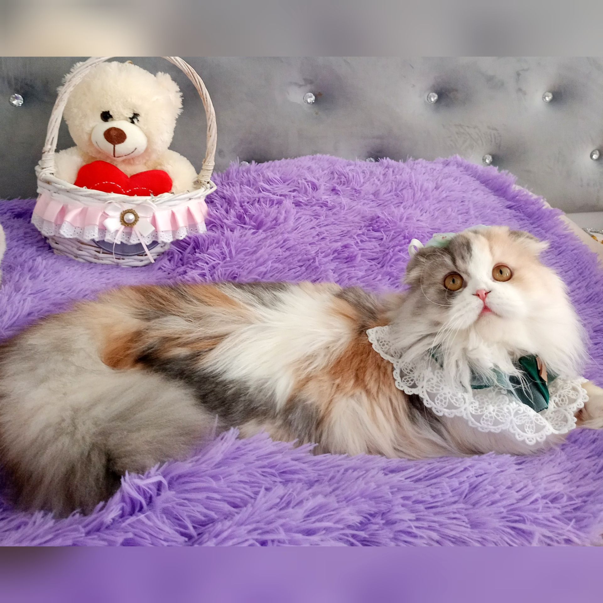 Неймовірна красуня