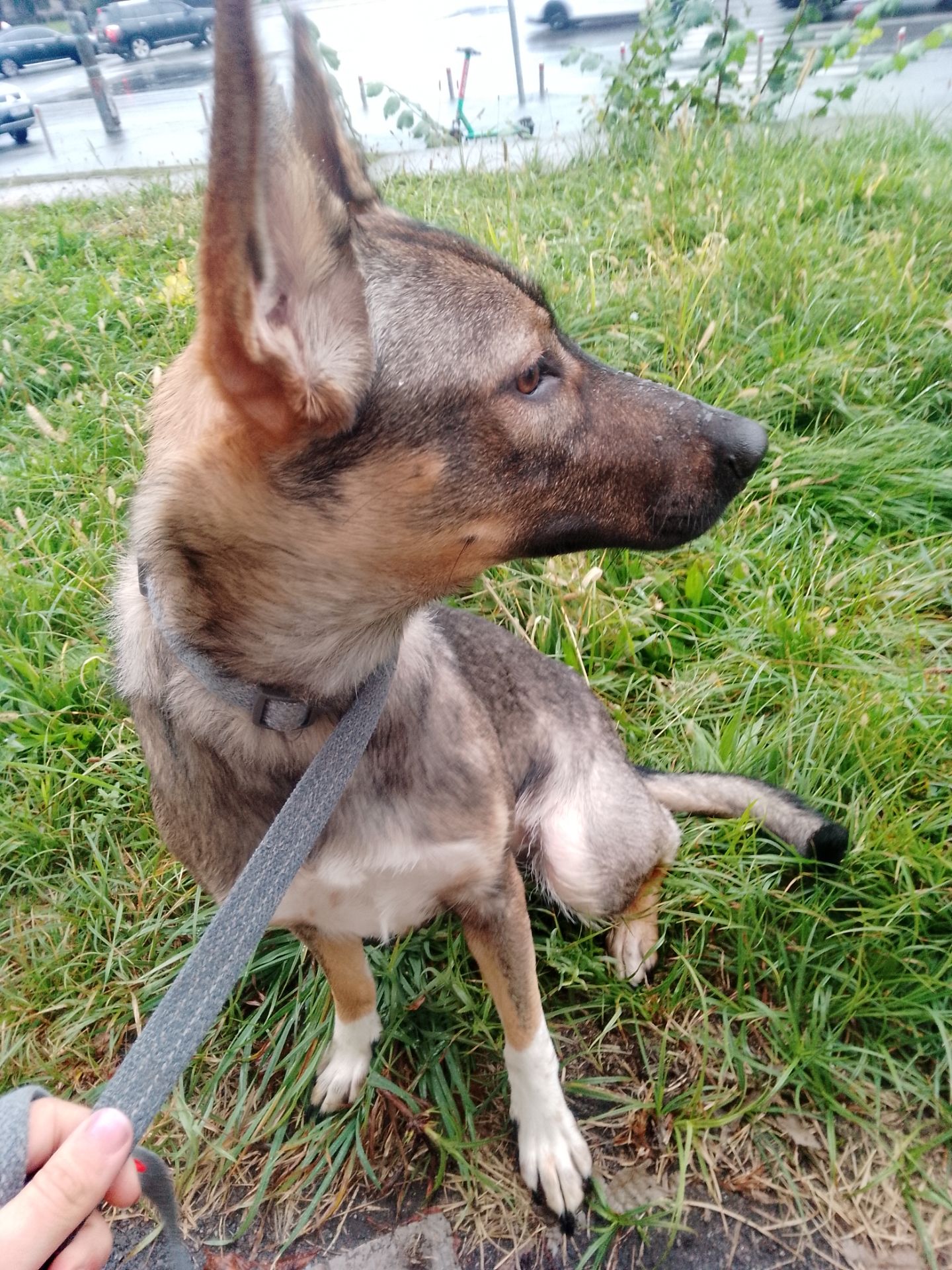 Леся девочка 9 месяцев срочно ищу любящую семью