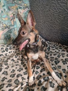 Леся девочка 9 месяцев срочно ищу любящую семью