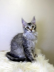 Хлопчик полідакт