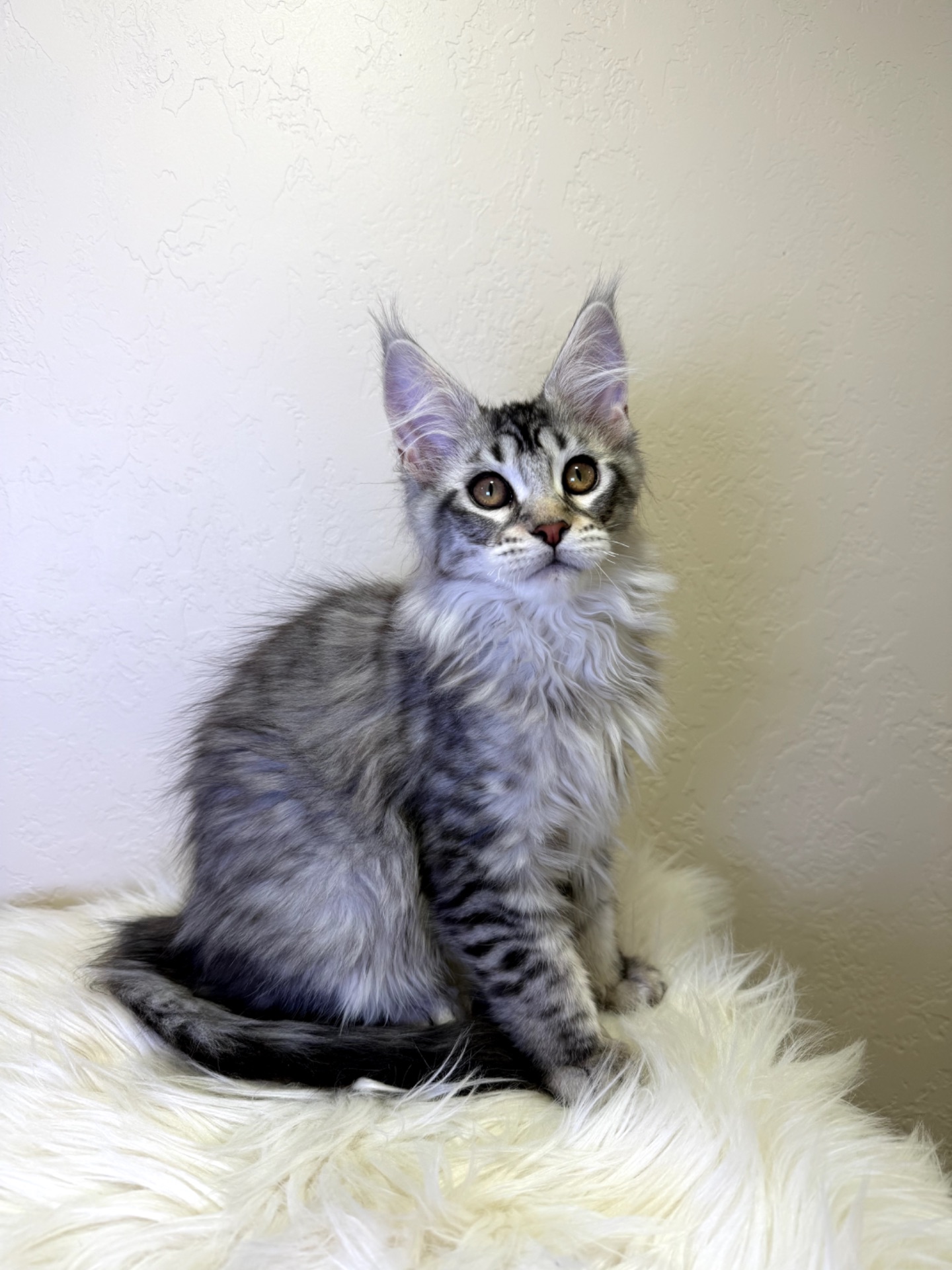 Хлопчик полідакт