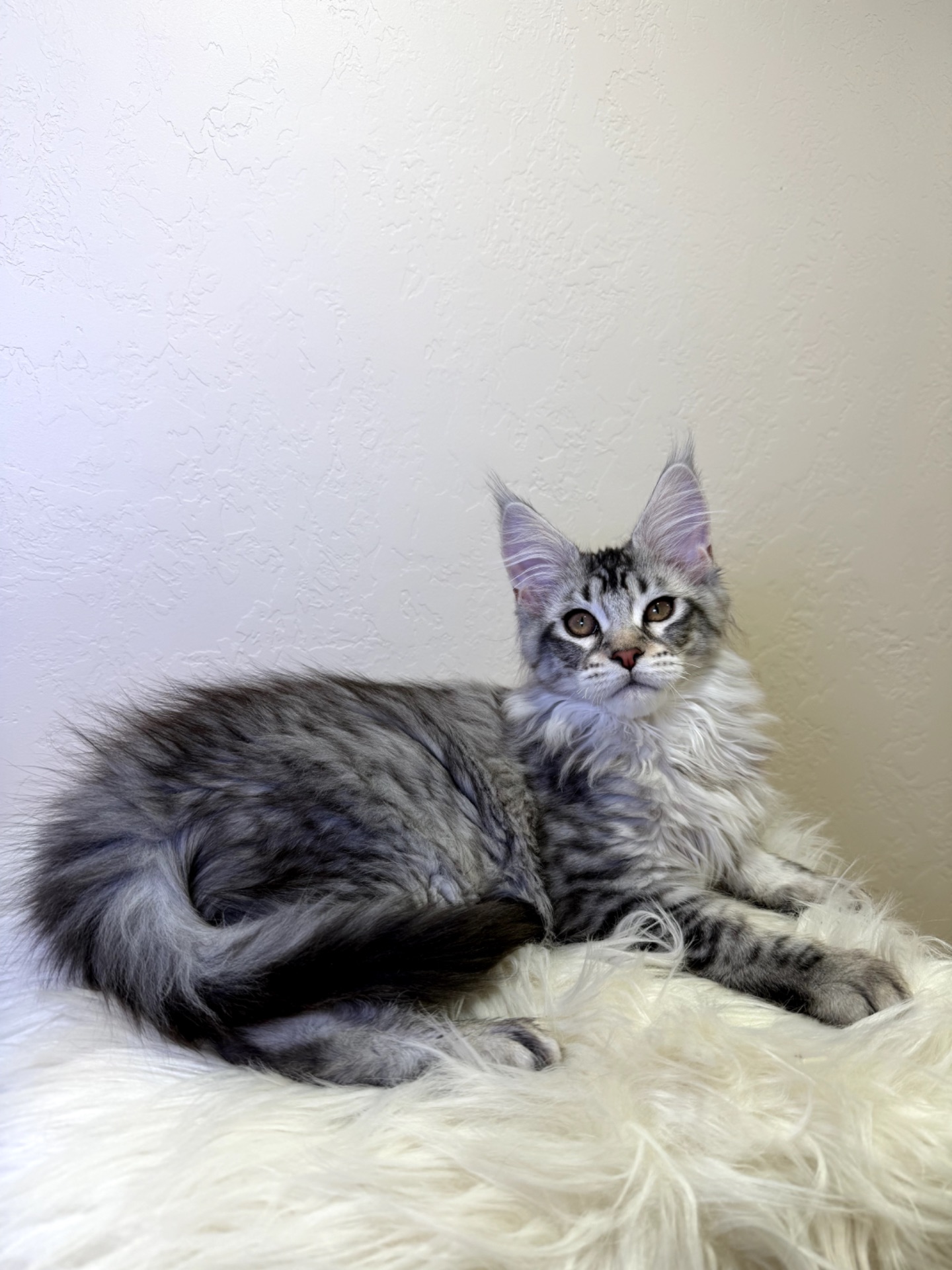 Хлопчик полідакт