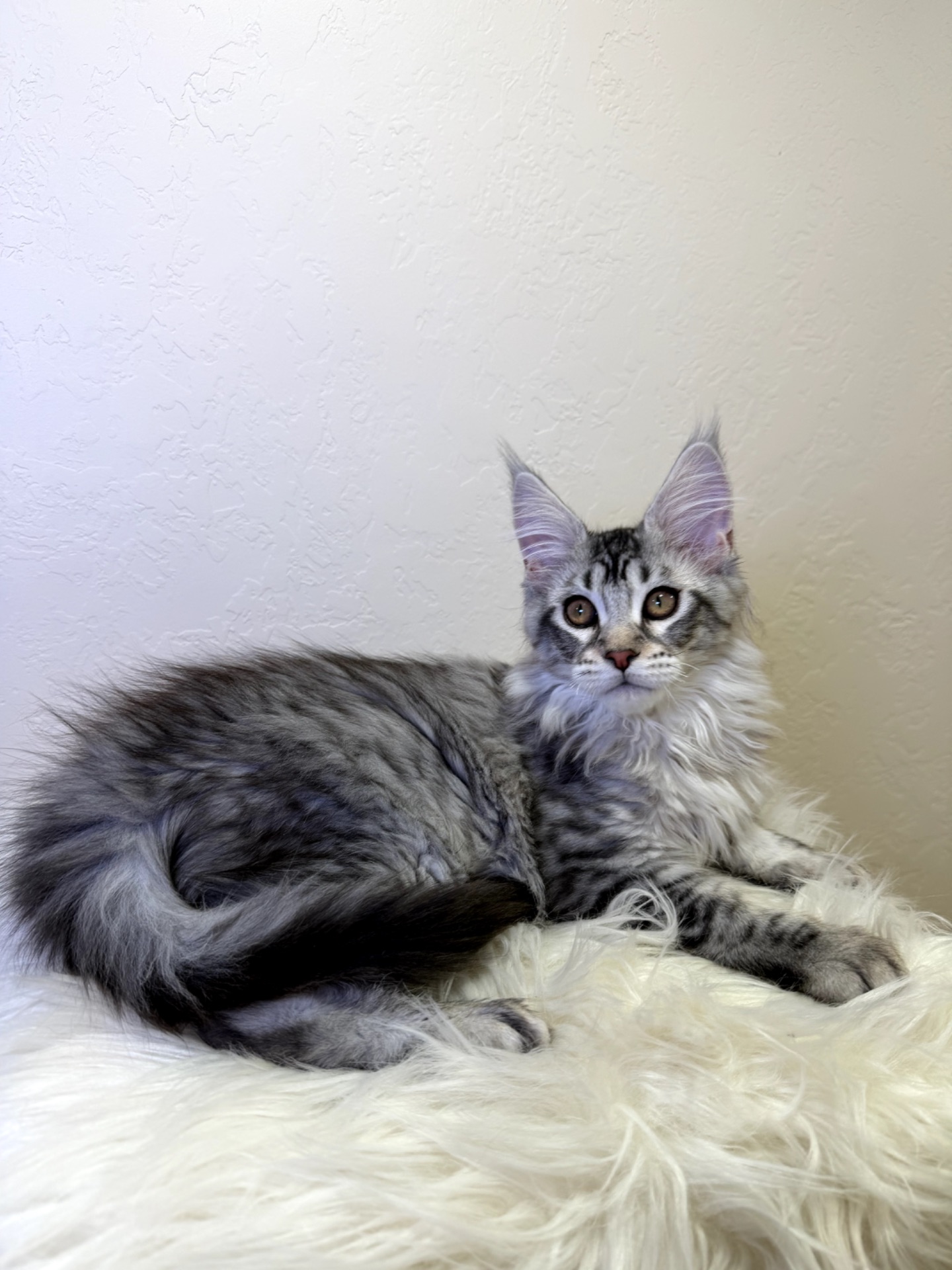 Хлопчик полідакт