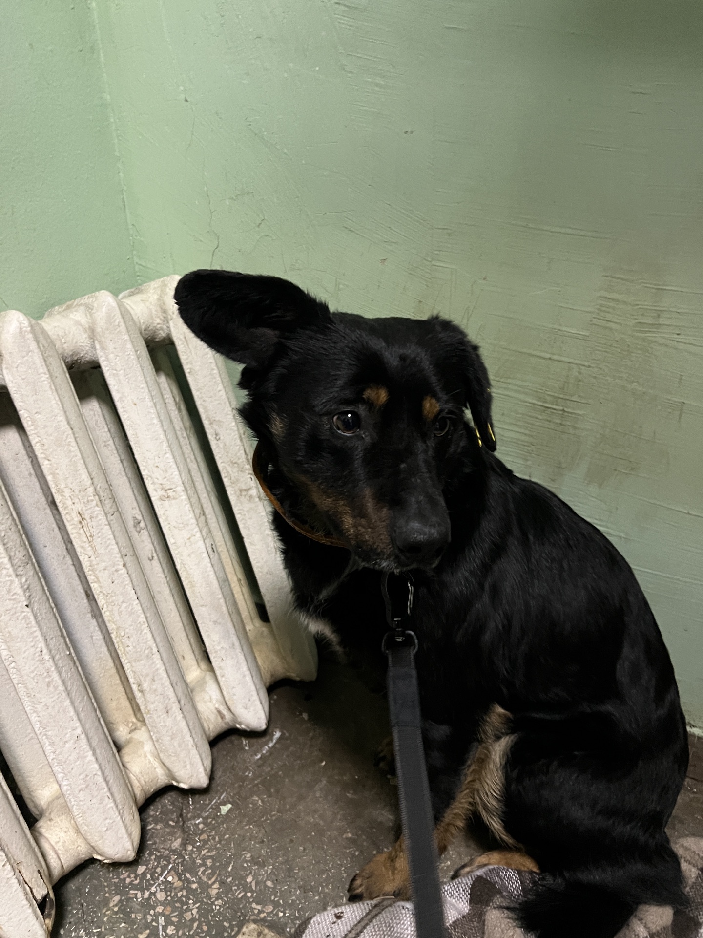 Хлопчик шукає дім