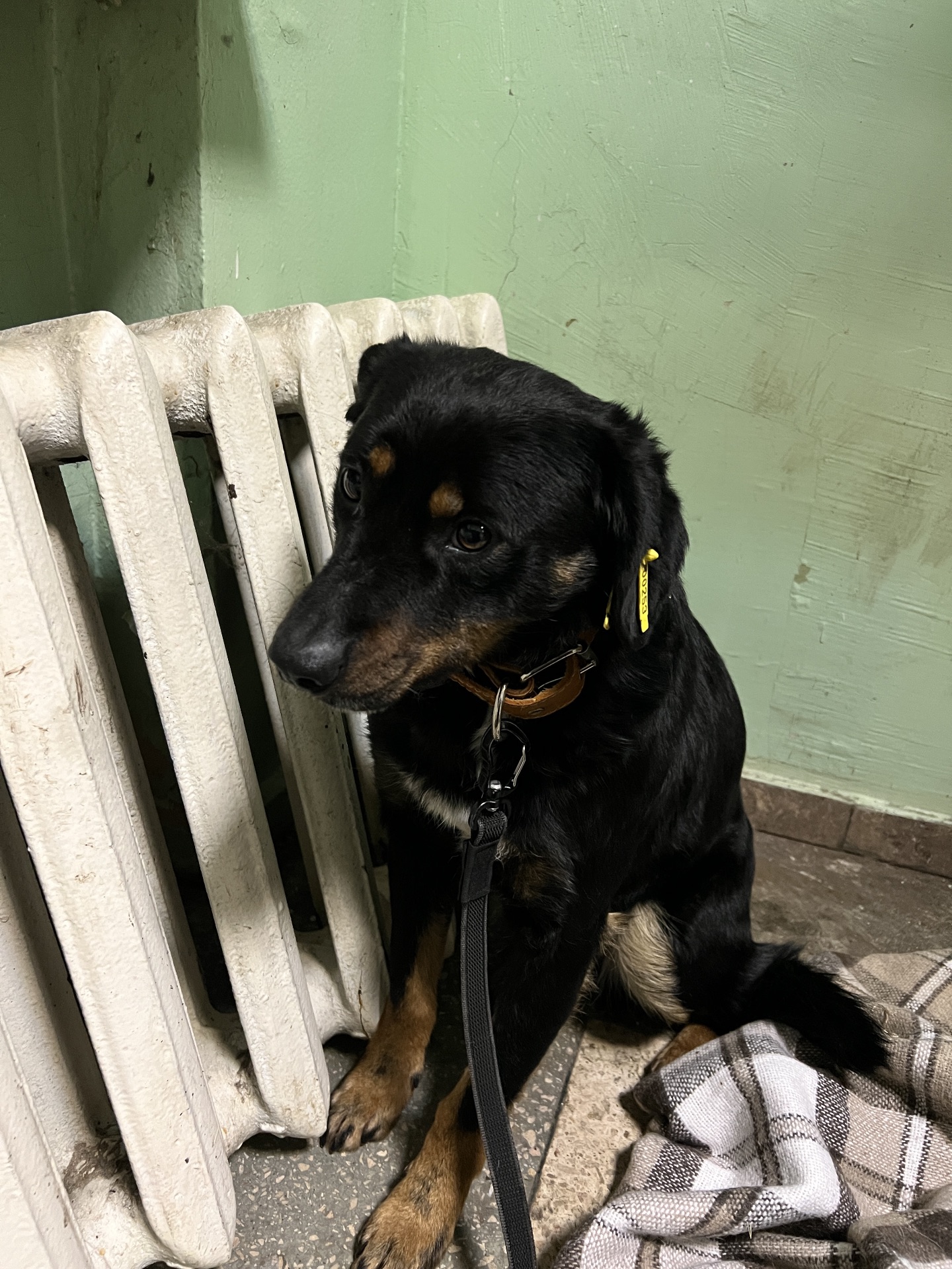 Хлопчик шукає дім