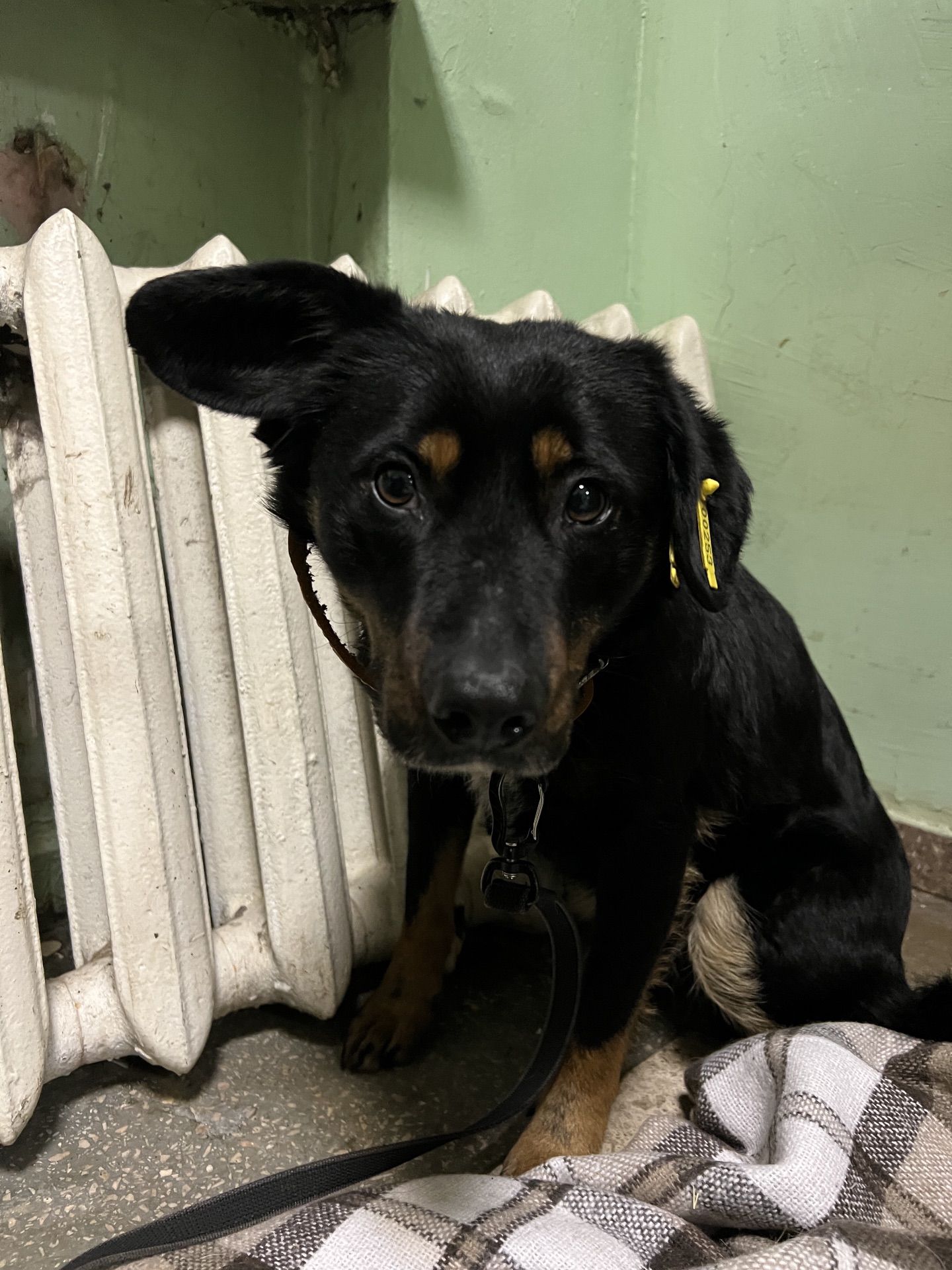 Хлопчик шукає дім