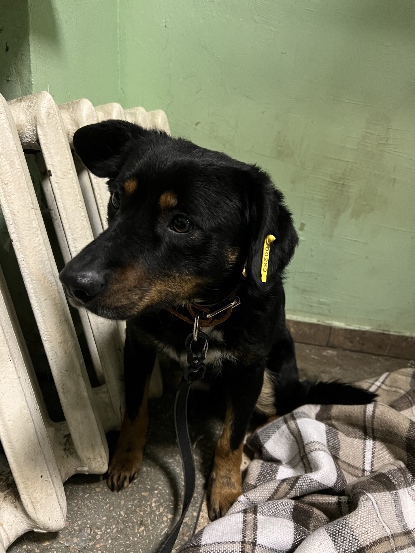 Хлопчик шукає дім